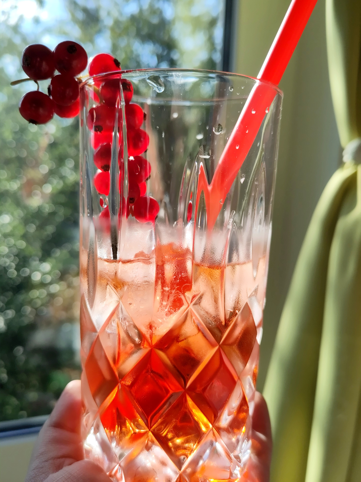 Ein alkoholfreier Aperol Cocktail in einem hohen Glas, das mit frischen roten Johannisbeeren dekoriert wurde.