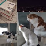 Der Umzug – Teil 2