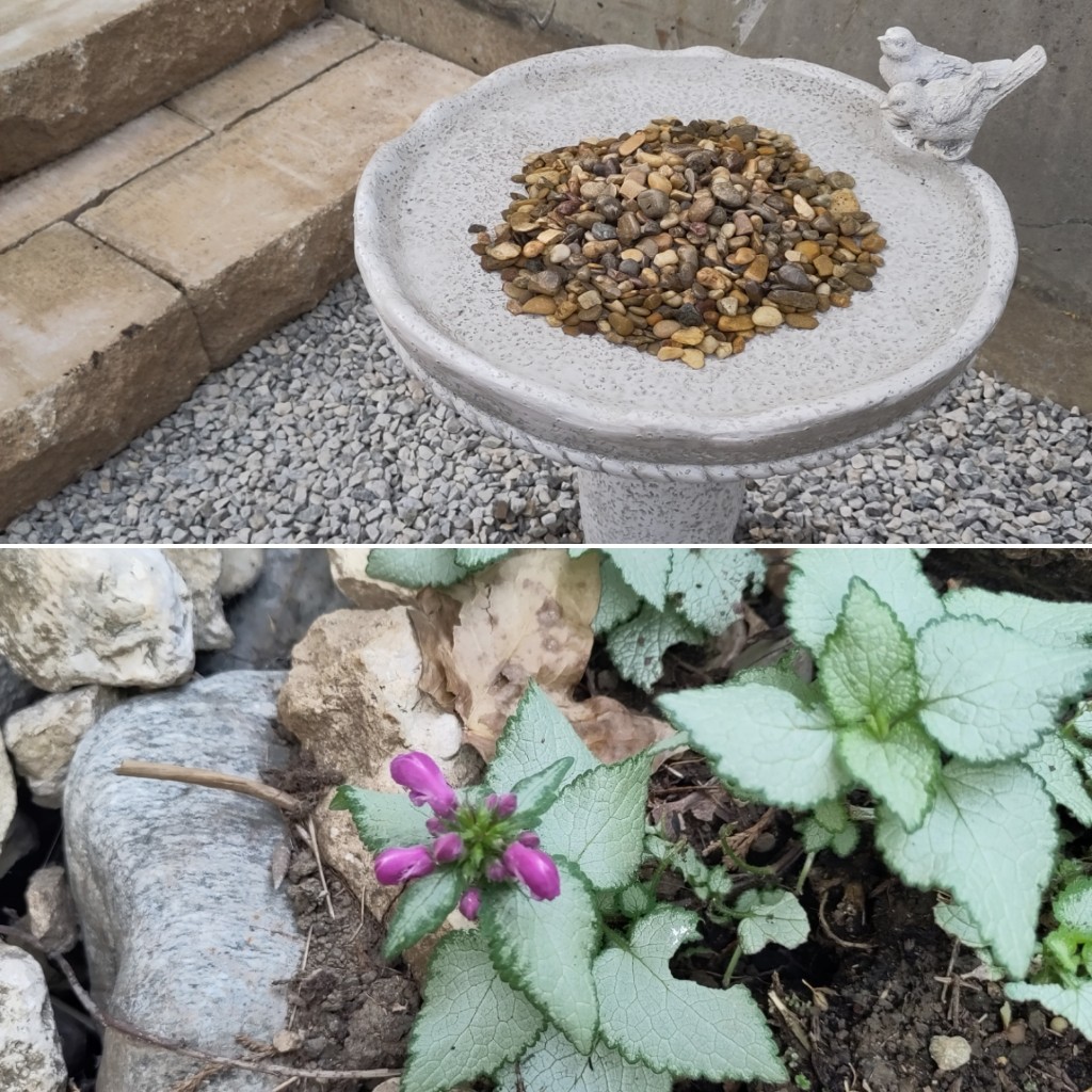 Oben: Eine Vogeltränke mit einem Haufen Steine in der Mitte für Insekten, Unten eine lila blühende Taubnessel