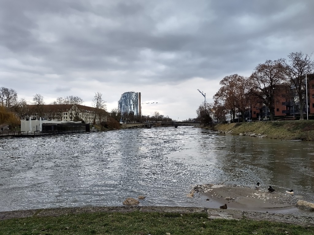 Eine Sand-/Kiesbank ist im Fluss zu erkennen an der Stelle an der beide Donauarme wieder zusammenfließen.