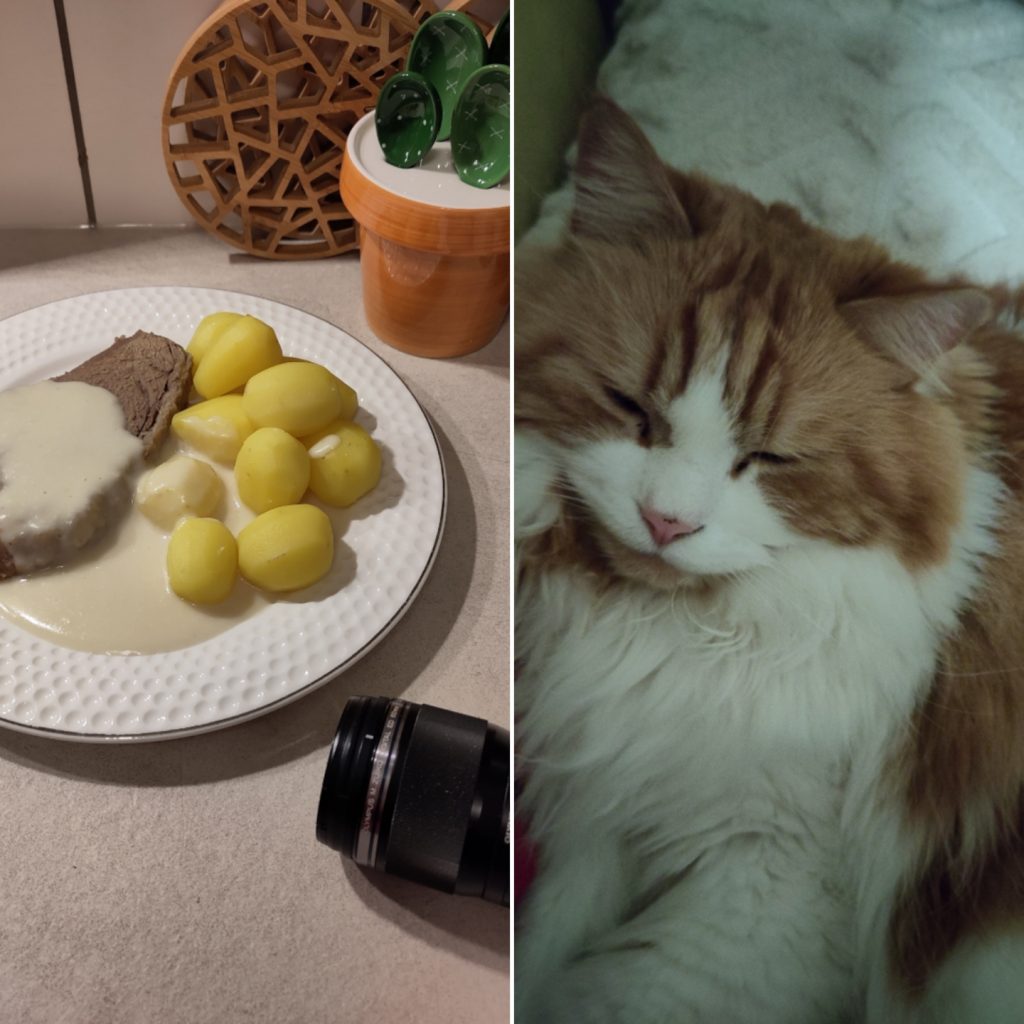 Collage von zwei Fotos: Links: Der fertige Teller für das Abendessen mit einer Scheibe Tafelspitz, Kartoffeln und Meerrettich Sauce. Rechts: ein kuscheliger müder Neo auf dem Sofa