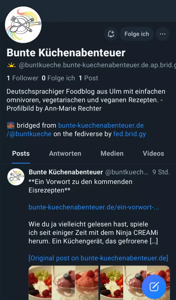 Screenshot des Profils des Blogs, welches über die Bridge auf basis des ActivityPub Profils erstellt wurde