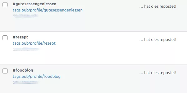 In den Kommentaren sind die geteilten Hashtags vom Relay sichtbar.