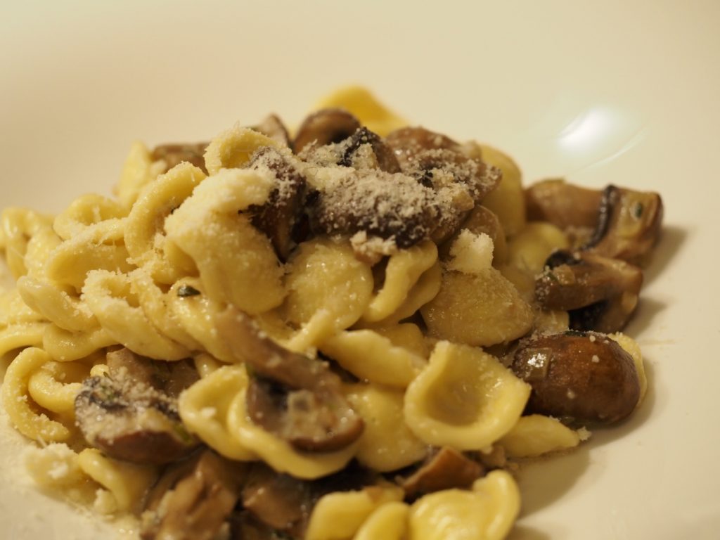 Pasta Orcchiette mit einer Pilz-Thymian Sauce, bestreut mit etwas geriebenen Hartkäse