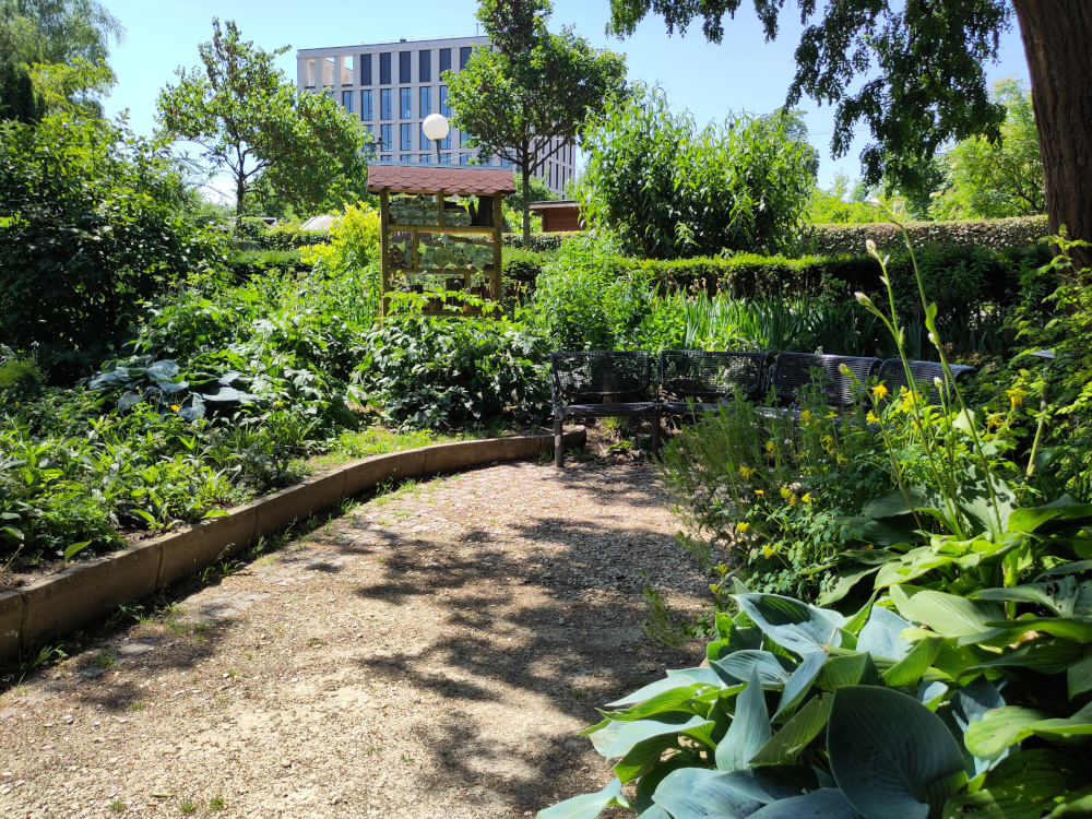 Eine von mehreren Einbuchtungen innerhalb des Gartens mit Sitzbänken zum Verweilen. Schräg dahinter steht ein neues Projekt einer Schule der Ulmer Innenstadt was sich wohl mit dem Aufbau eines Insektenhotels beschäftigt hat.