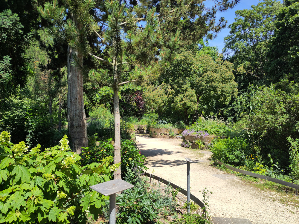 Blick vom unteren Ein- oder Ausgang des Parks in die Anlage.