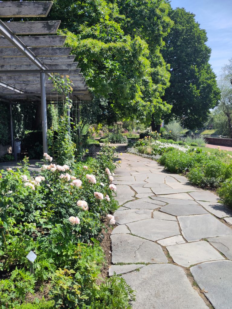 Eine von mehreren Pergola.