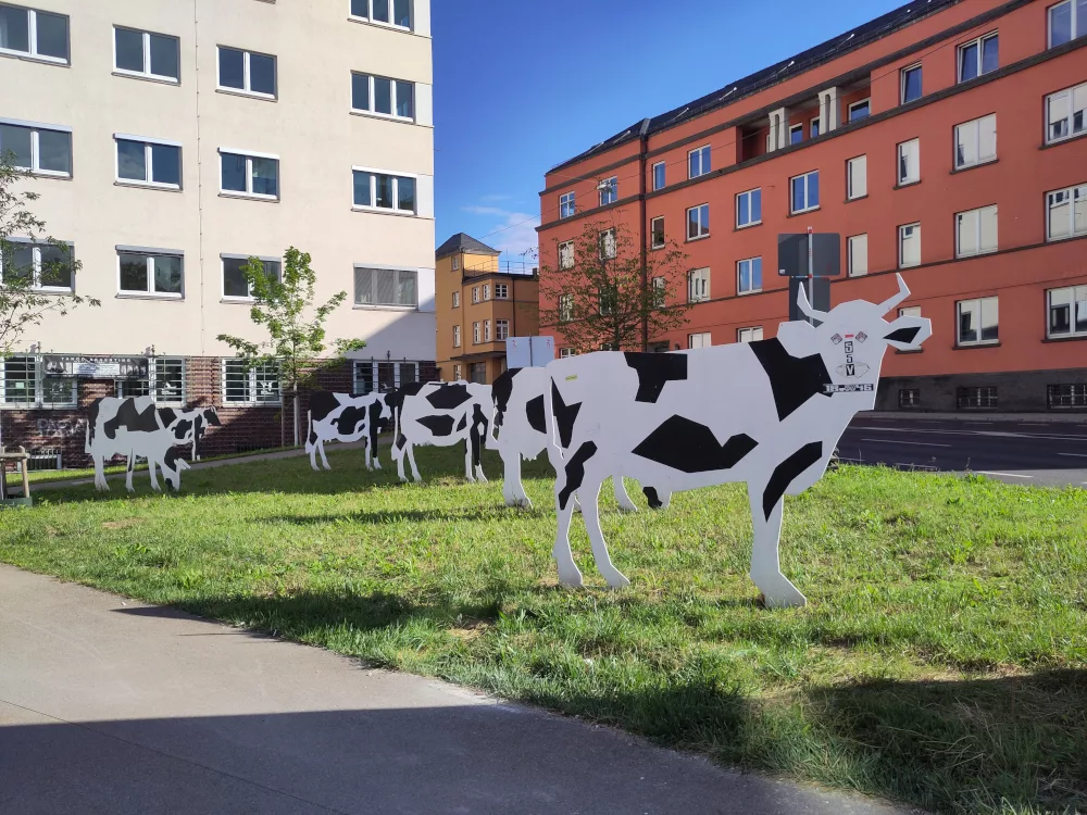 Ulm: eine Kuhherde am Willy-Brandt-Platz