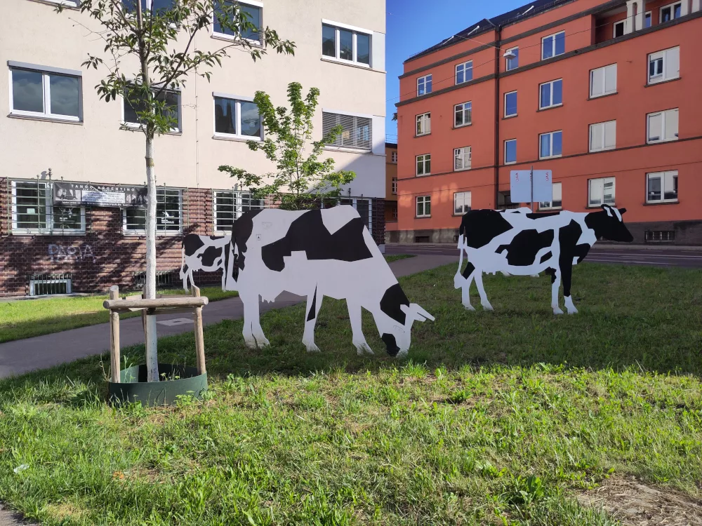 Eine Herde von aus Metall gefertigten Kühen auf einer Grünfläche am Willy-Brandt-Platz in Ulm.