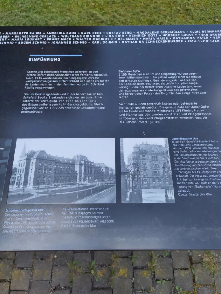 Einführungstext in die NS Geschichte mit dem Kontext auf Bezug zu den Zwangssterilisationen und den Euthanasie-Morden