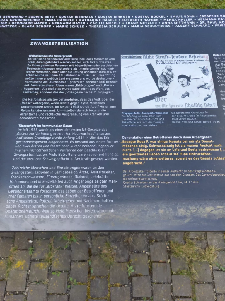 Text mit Abbildungen zu den Zwangssterilisationen