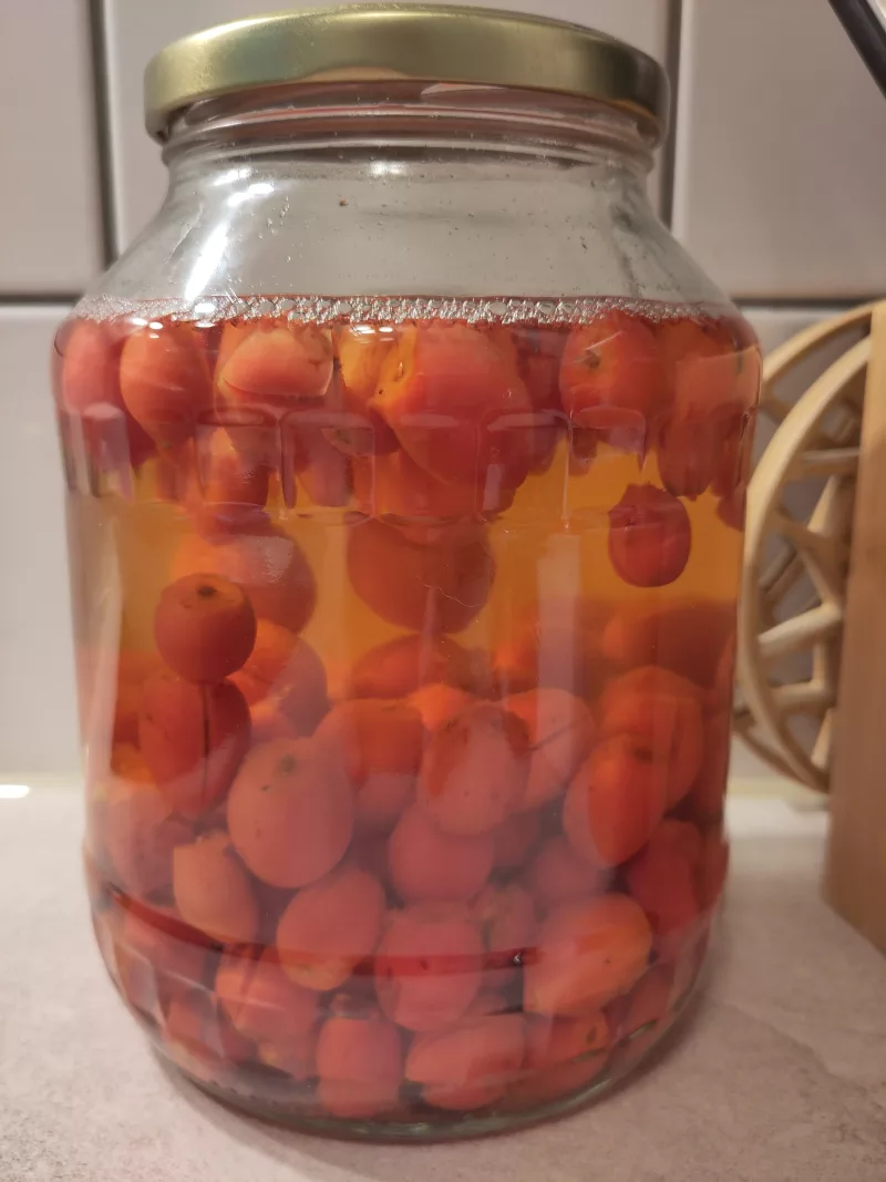 Nach einer Woche hat sich das Essig-Wasser Gemisch schon etwas verfärbt.