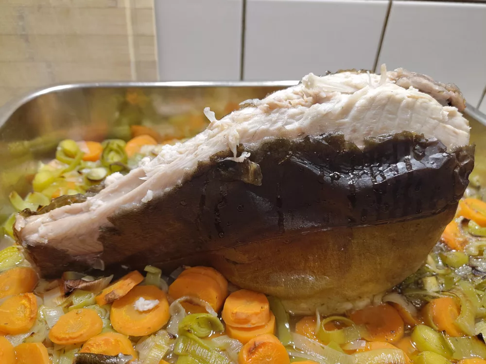 Der obere "Flossenkranz" wurde vom restlichen Fisch getrennt und abgehoben.