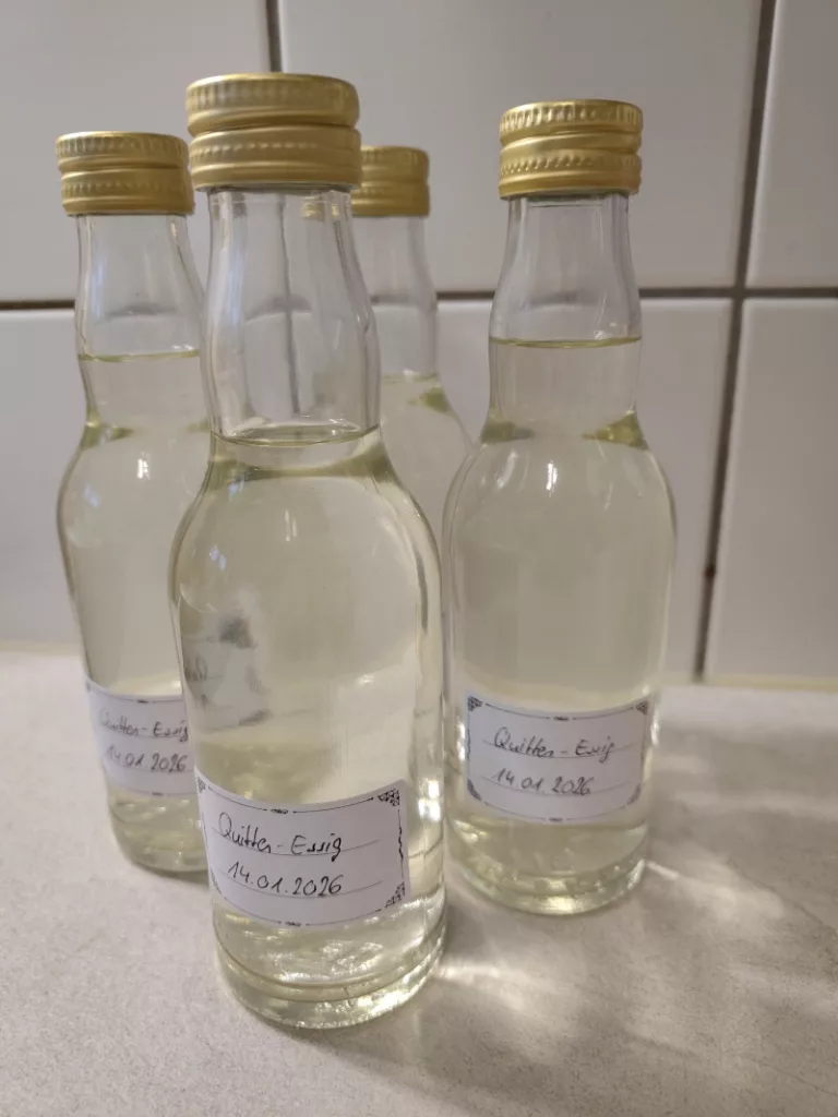 Der Quittenessig wurde in Fläschchen abgefüllt. Jede Flasche wurde beschriftet. Der Fruchtessig hat eine sehr helle gelbliche Farbe, aber die Flüssigkeit ist transparent durchscheinen.