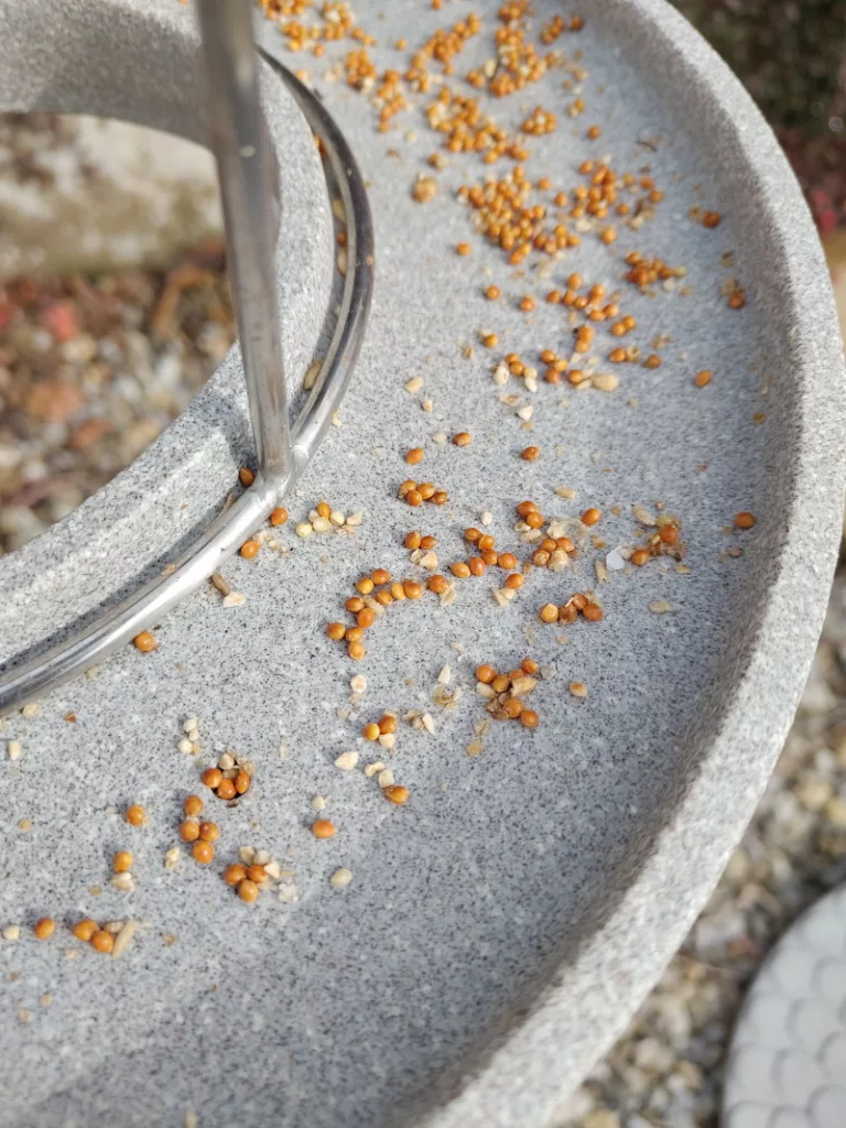 Das Vogelfutter wurde nahezurestlos aufgepickt. Nur die Hirse ist scheinbar nicht ganz so beliebt.