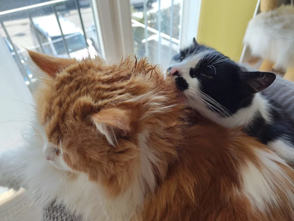 Abenteuer Alltag (02.-08.03.2026)