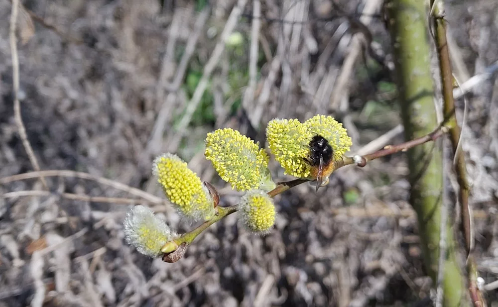 Abenteuer Alltag (16.-22.03.2026)