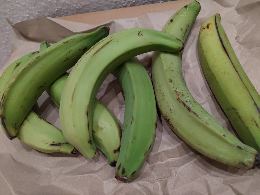 Abenteuer Alltag (09.-15.03.2026)