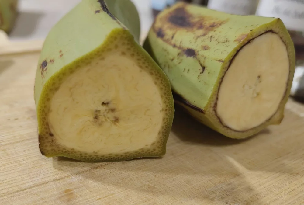 Zwei Bananen wurden in der Mitte halbiert und geben den Blick auf die Schnittfläche frei. Das Innere der Kochbananen ähnelt sehr der Supermarktbananen.