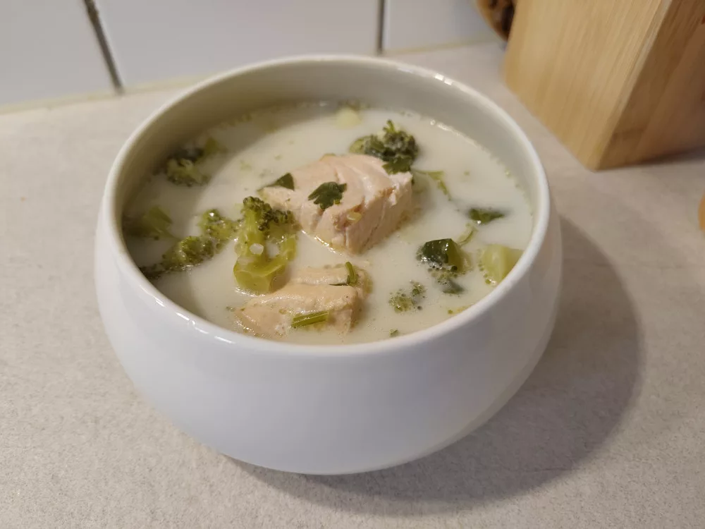 Eine Suppe mit Brokkoli und Fisch in der kleinen Schüssel des Geschirrs.