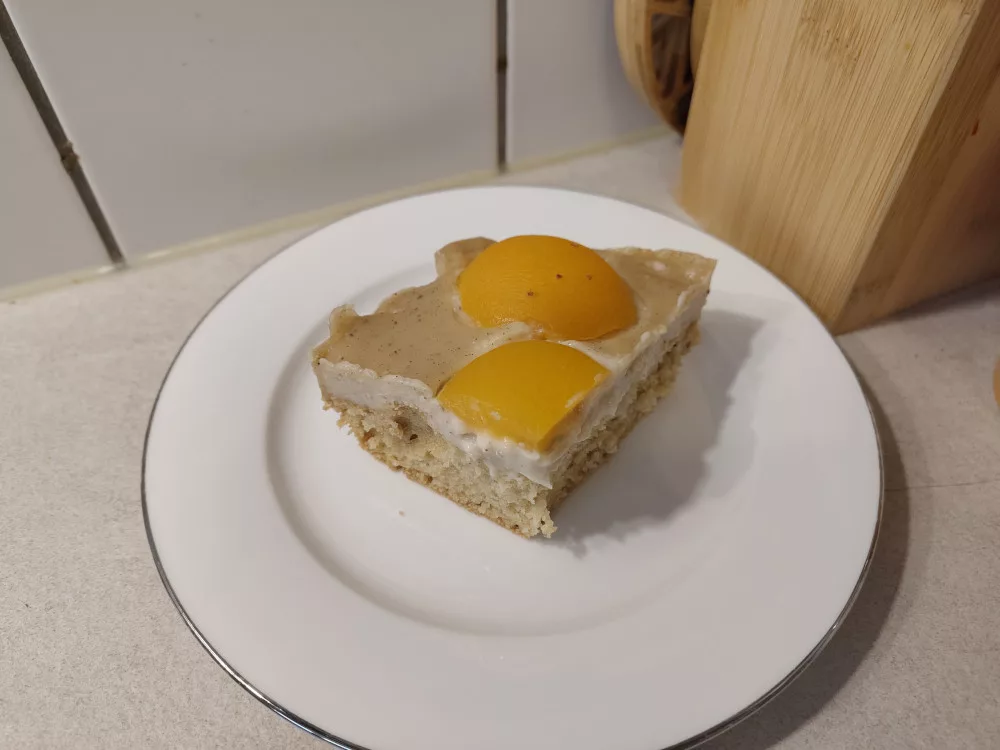 Rührkuchen mit Vanillepudding und Aprikosen (kleines Backblech oder 26cm Springform, 12 Stücke)