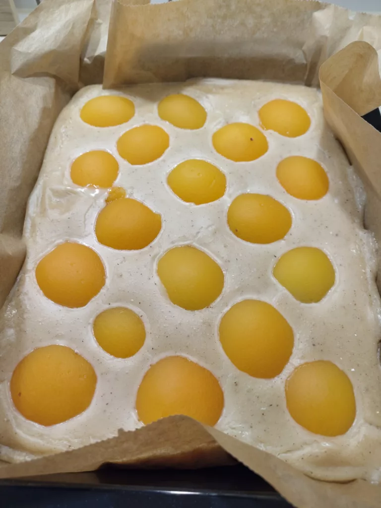Der fertig gebackene aber noch heiße Kuchen. Die Puddingschicht mit den Aprikosen ist leicht angezogen.