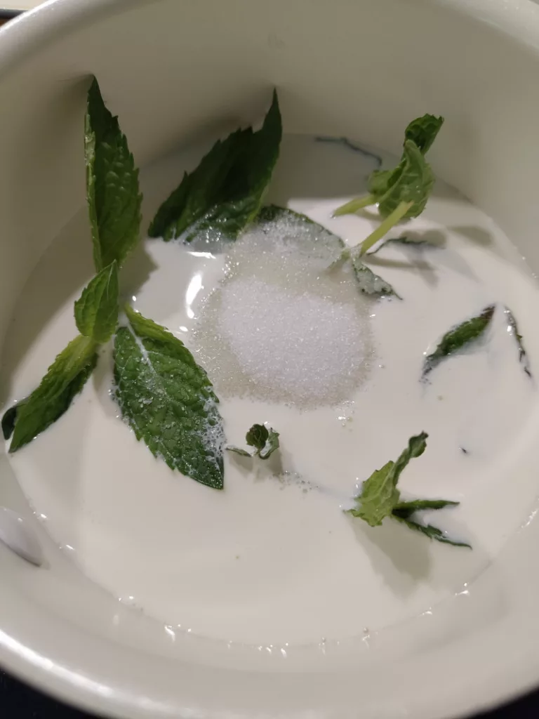 Kochsahne mit frischer Pfefferminze und Zucker in einem kleinen Kochtopf