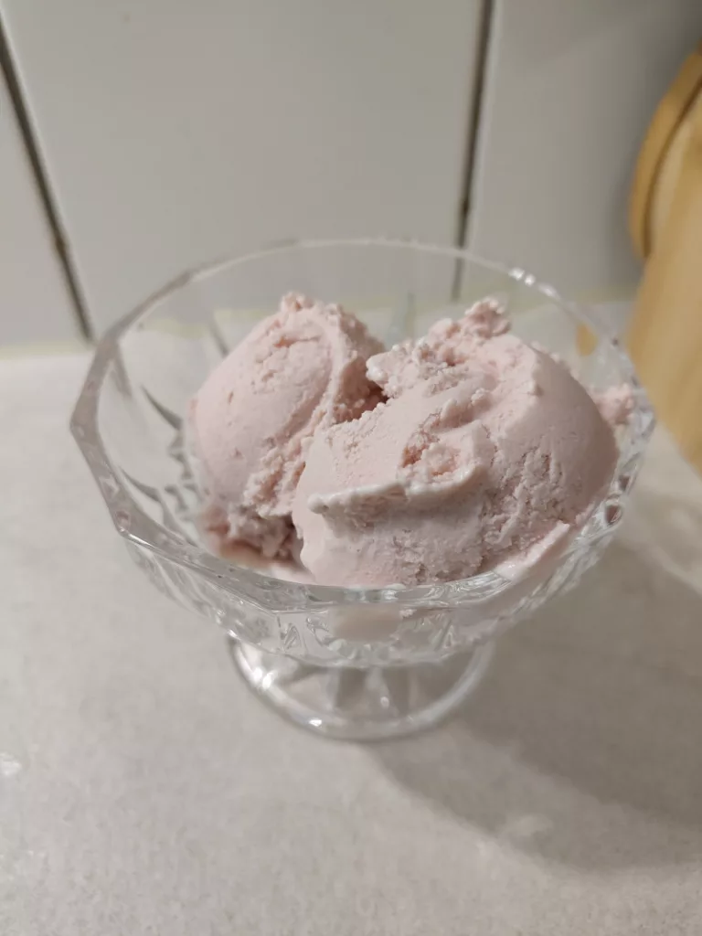 Eine kleine Portion vegane Rhabarber Eiscreme
