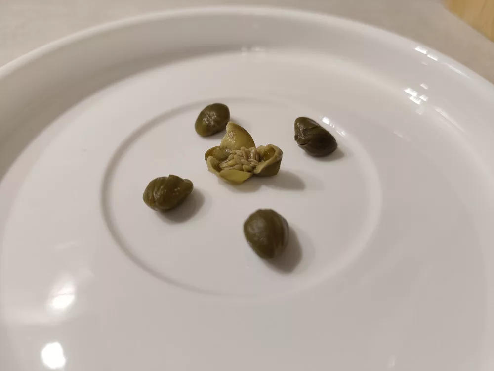 Fünf Kapern auf einem kleinen Teller. Die Kapernknospe in der Mitte wurde geöffnet und gibt den Blick auf das Innere frei.