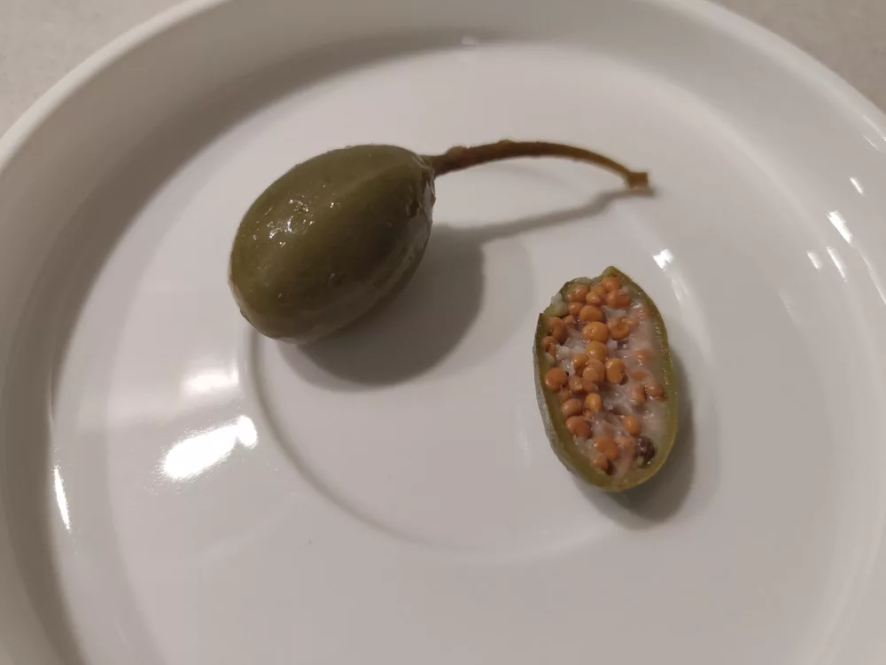 Ein ganzer Kapernapfel mit Stiel neben einem längs aufgeschnittenen Fruchtkörper. Die vielen Samen in der Frucht sind zu sehen.