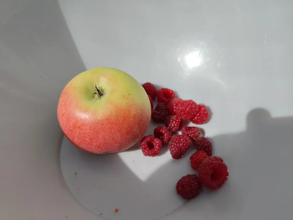 eine kleine handvoll Himbeeren und ein Apfel in einer Schüssel