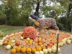 Eine Katzenfigur mit einem Wollknäuel, beides aus Kürbissen gestaltet
